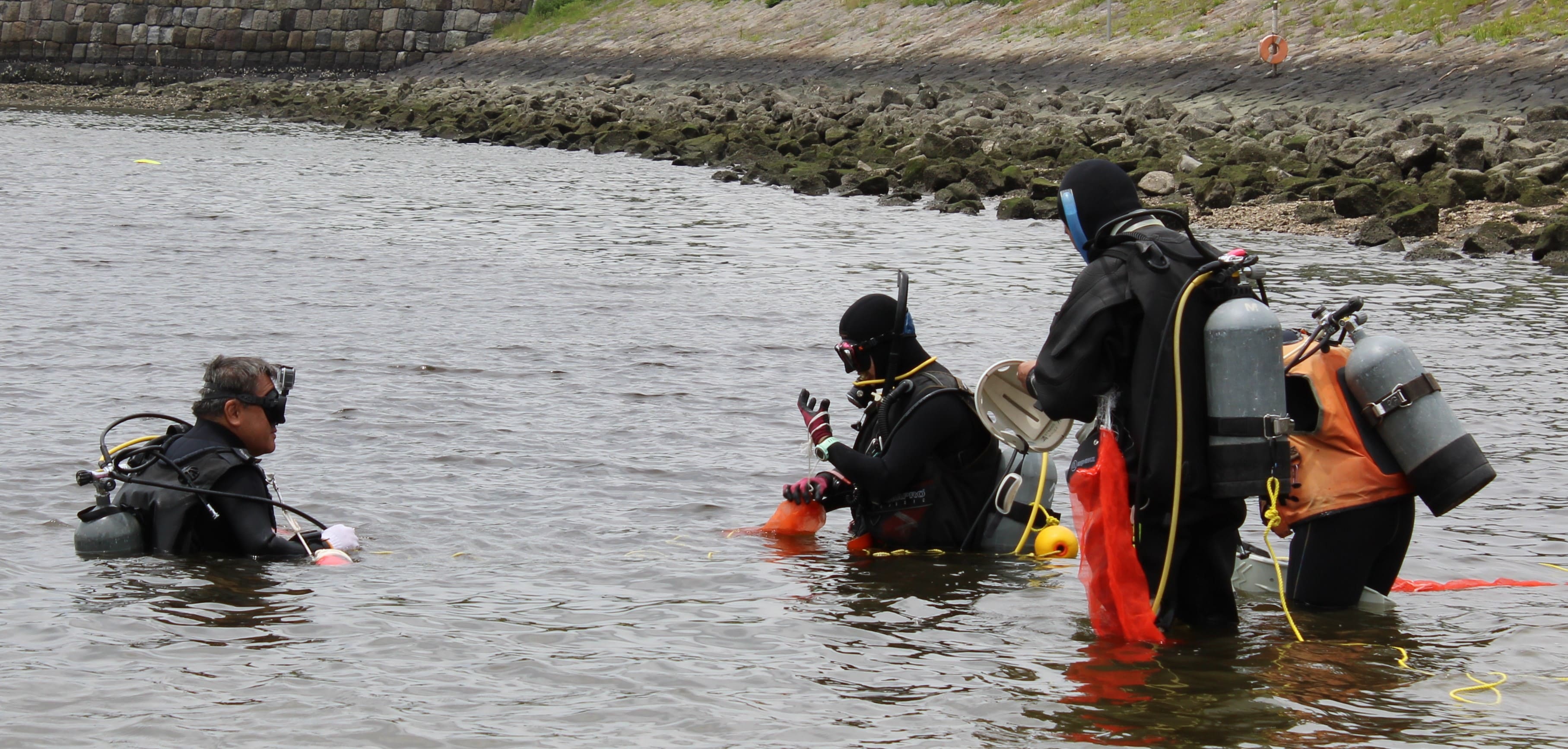 東京ベイ・クリーンアップ大作戦写真