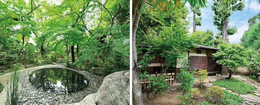 庭園と茶室「沙那庵」